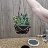 Planter 3