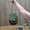 Planter 4