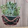 Planter 5
