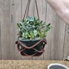 Planter 6