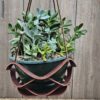 Planter 7
