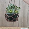 Planter 8